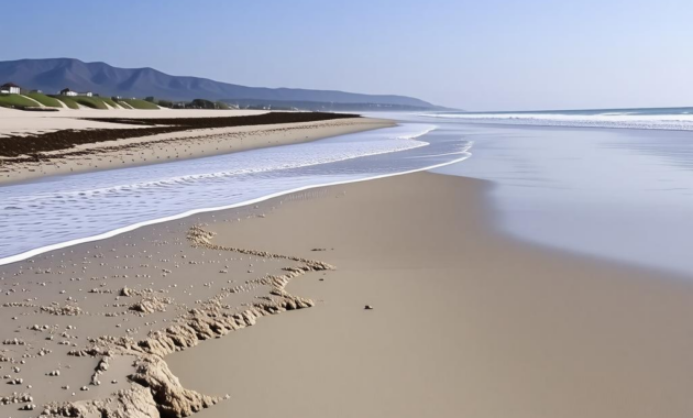 Camp Pendleton Beaches: What You’re Allowed to Do (and Not Do)