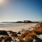 Is Camp Pendleton on the Beach? What You Can Actually Access