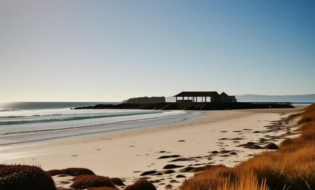 Is Camp Pendleton on the Beach? What You Can Actually Access