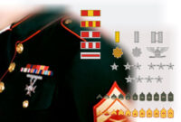 Marine Corps Ranks in Order: Full Guide (E-1 to General)