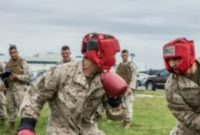 What Is MCMAP? Marine Corps Martial Arts Program Guide