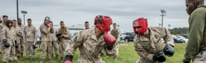 What Is MCMAP? Marine Corps Martial Arts Program Guide