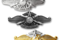 Fleet Marine Force Explained: What It Means