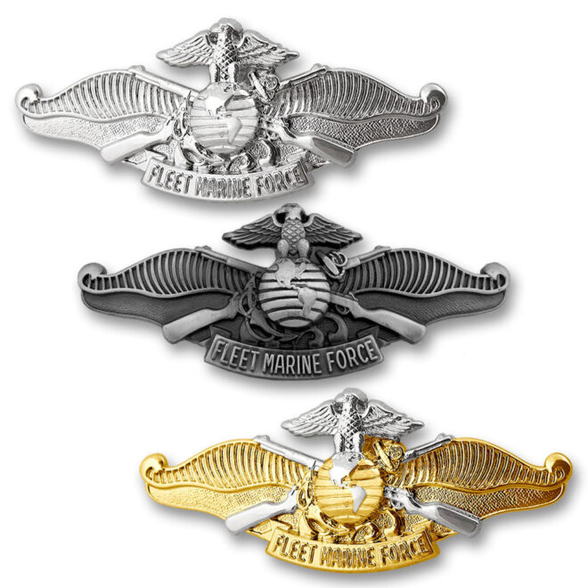 Fleet Marine Force Explained: What It Means