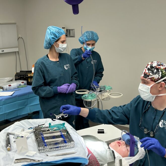 What Specialty Handles Pediatric Oral Healthcare?