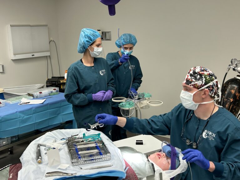 What Specialty Handles Pediatric Oral Healthcare?