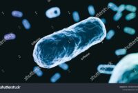 How Healthcare Providers Contributed to Antibiotic Resistance