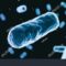 How Healthcare Providers Contributed to Antibiotic Resistance