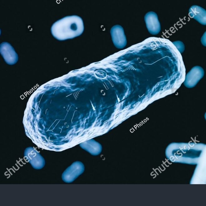 How Healthcare Providers Contributed to Antibiotic Resistance