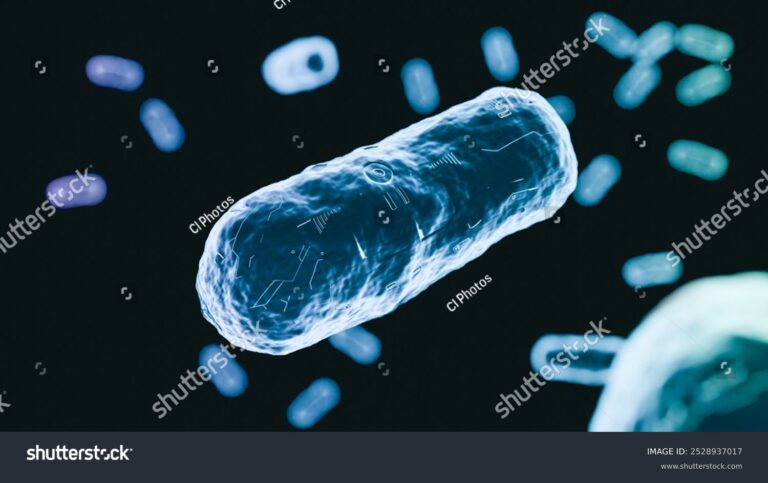How Healthcare Providers Contributed to Antibiotic Resistance