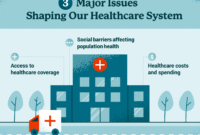 Why Healthcare Systems Are So Politically Divided